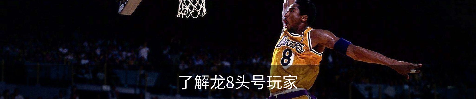 了解龙8头号玩家