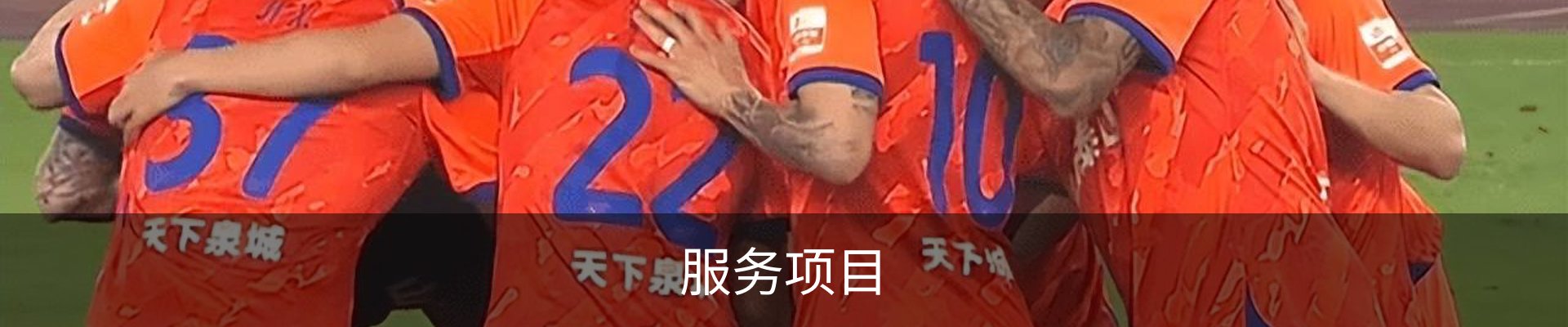 服务项目